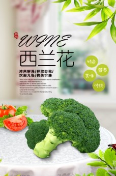 绿色蔬菜新鲜花菜海报