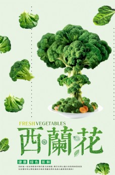 绿色蔬菜简洁清新西兰花蔬菜宣传海报