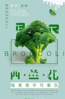绿色蔬菜简约小清新西兰花海报