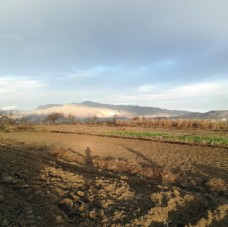 远山田野农田风景图片