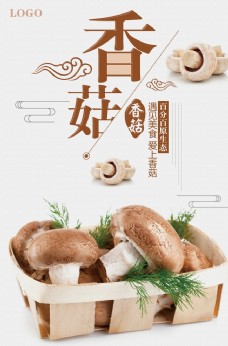 绿色蔬菜香菇海报