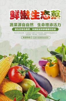 绿色食品鲜嫩蔬菜海报图片