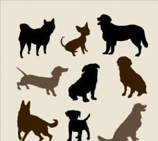 
                    狗品种规格剪影图片
