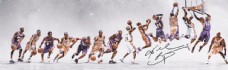 星星NBA篮球球星Kobe图片