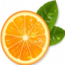 蔬果海报橙子图片