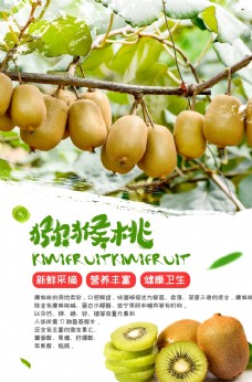 水果海报猕猴桃水果活动宣传海报素材图片