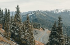 
                    森林公路雪山树木素材图片
