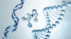 链子基因链DNA分子细胞图片