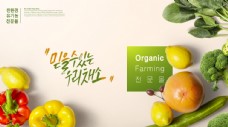 进口蔬果水果蔬菜海报图片