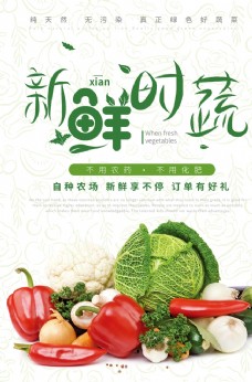 蔬菜文化新鲜时蔬无公害蔬菜海报图片