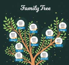 绿树创意绿色家族树图片