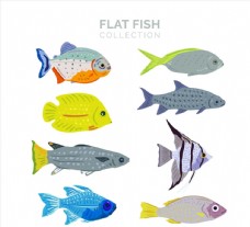 
                    扁平化彩色鱼类图片
