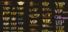 vip贵宾卡VIP艺术字体图片