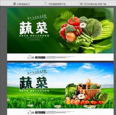 绿色蔬菜蔬菜蔬菜展板蔬菜海报图片
