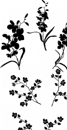 
                    花 剪影 叶子 黑白花 植物图片
