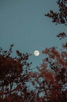 
                    月亮图片
