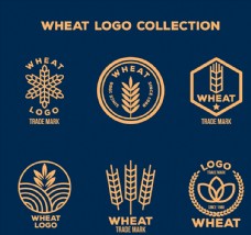 商品精致麦子标志图片
