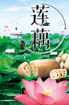 蔬菜饮食洪湖莲藕海报图片