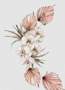 
                    植物花朵装饰图案图片
