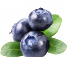 
                    蓝莓图片
