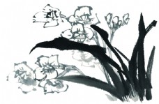 
                    水墨花卉图片
