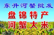 中华文化河蟹大米图片