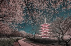 樱花日本旅游旅行海报素材图片