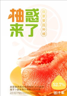 
                    江西红肉柚图片
