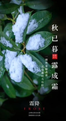 
                    霜降节气传统活动海报素材图片
