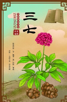 中草药药材植物海报图片