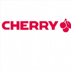 cherry樱桃图片