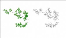 CDR可换颜色树叶图片