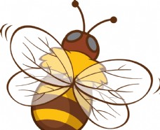 
                    蜜蜂图片

