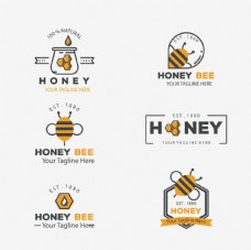 
                    蜜蜂图片
