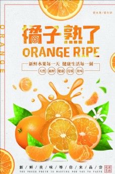 
                    橘子海报图片
