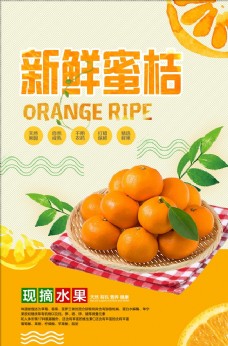 水果采购橘子海报图片