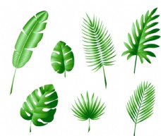 墙纸绿色树叶图片