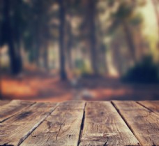 木材木纹桌面森林背景海报素材图片