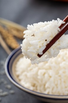 美食素材米饭主食美食背景海报素材图片