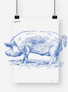 猪矢量素材猪图片