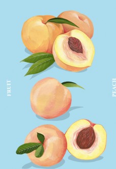 SPA插图桃子手绘插画图片