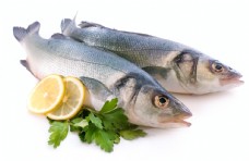 美食素材海鲜鱼美食食材背景海报素材图片